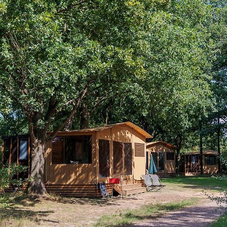 Huttopia De Roos Stegeren Екстериор снимка