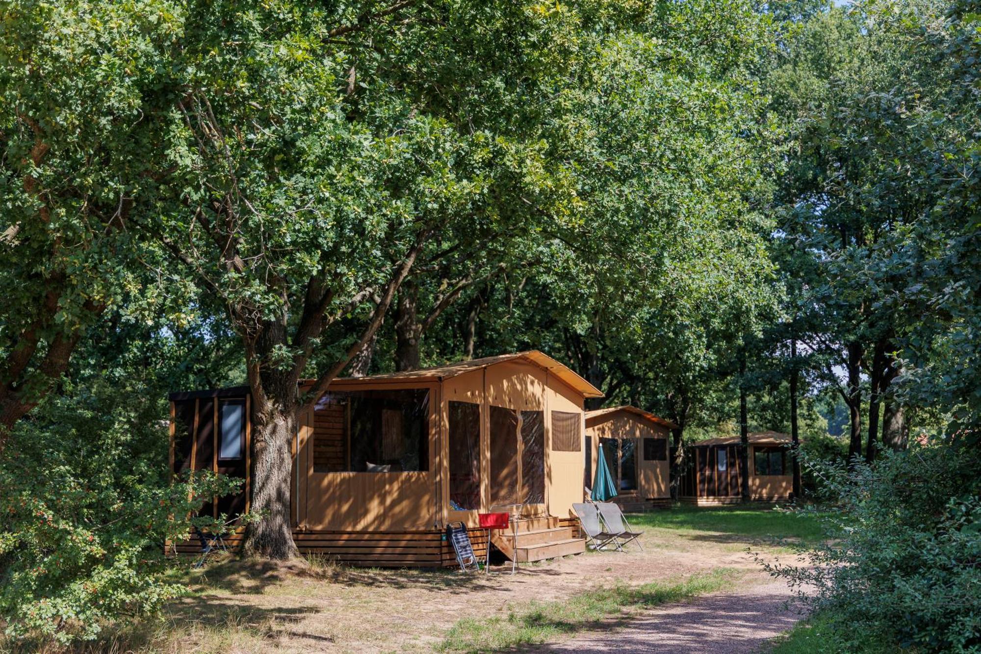 Huttopia De Roos Stegeren Екстериор снимка